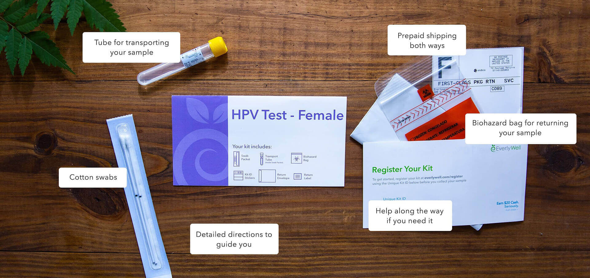 At Home High Risk Hpv Test Costs Less Than A Doctor’s Visit Everlywell