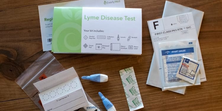 At Home Lyme Disease Blood Test - Easy To Use And Understand | Everlywell